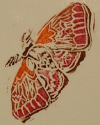 Moth3